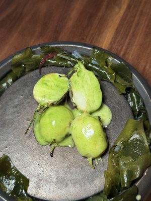 ACRU by null ACRU by null