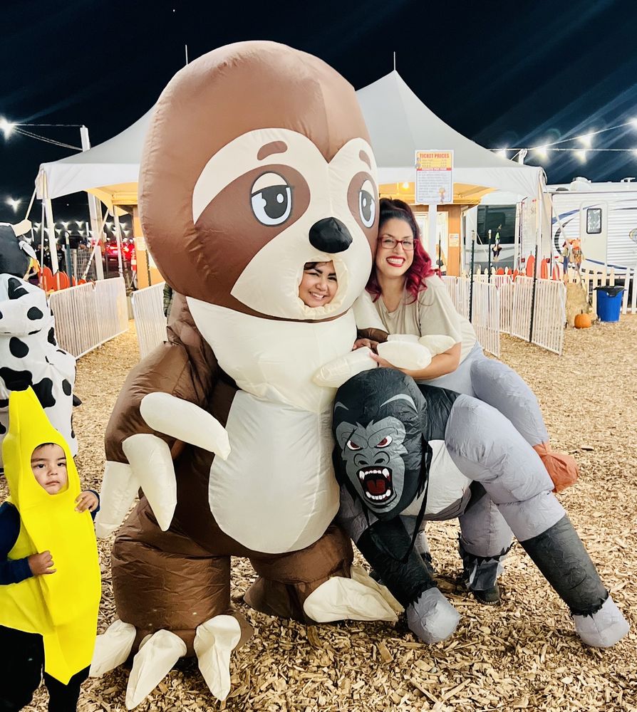 SEASONAL ADVENTURES PUMPKIN PATCH AND CHRISTMAS TREES Updated