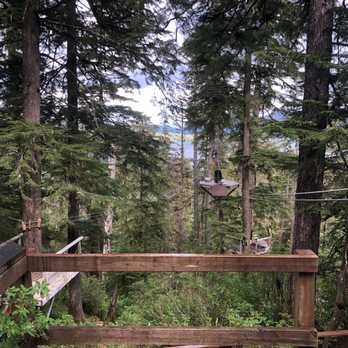 Alaska Canopy Adventures - Great view - Tours Near Me - Ketchikan, Alaska Alaska Canopy Adventures - Great view - Tours Near Me - Ketchikan, Alaska