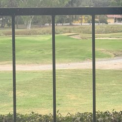 Bonita Point Dental Arts - Coyote on the green.