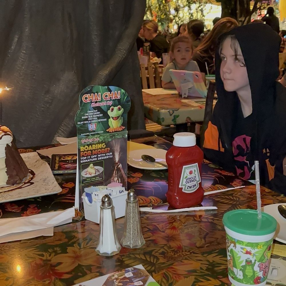 Rainforest Cafe - My son getting his birthday volcano - American Near Me - Katy, Texas Rainforest Cafe - My son getting his birthday volcano - American Near Me - Katy, Texas