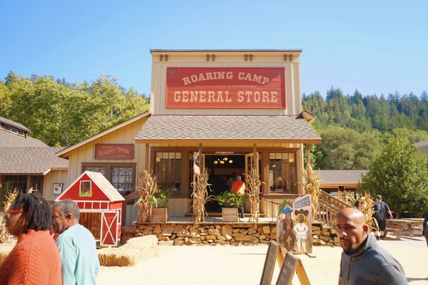 Roaring Camp by null