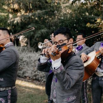 Mariachi Arcoiris - Musicians Near Me Mariachi Arcoiris - Musicians Near Me