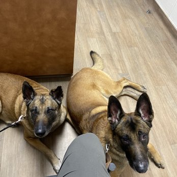 The Humane Society - Rory and his mamma Lucille. - Veterinarians Near Me - San Bernardino, California The Humane Society - Rory and his mamma Lucille. - Veterinarians Near Me - San Bernardino, California