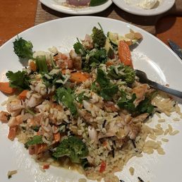Snapper Snapper Veracruz and Shrimp Snapper Snapper Veracruz and Shrimp