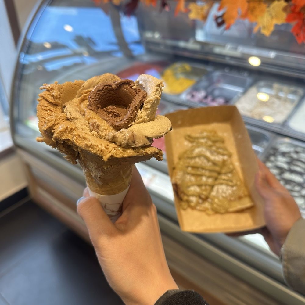 Amorino - Gelato Near Me - Washington, DC, District of Columbia Amorino - Gelato Near Me - Washington, DC, District of Columbia