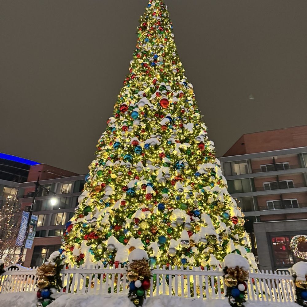 Aazon.co: Funny Elf Christas Decorations, 6 Pcs Holiday Tree Hanging