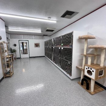 The Kitty Hotel - Pet Boarding Near Me - Campbell, California The Kitty Hotel - Pet Boarding Near Me - Campbell, California