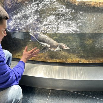 Aquarium Pyramid - Aquariums Near Me - Galveston, Texas Aquarium Pyramid - Aquariums Near Me - Galveston, Texas