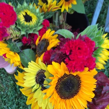Wrightstown Farmers Market - Fabulous field-grown flowers! - Farmers Market Near Me - Newtown, Pennsylvania Wrightstown Farmers Market - Fabulous field-grown flowers! - Farmers Market Near Me - Newtown, Pennsylvania
