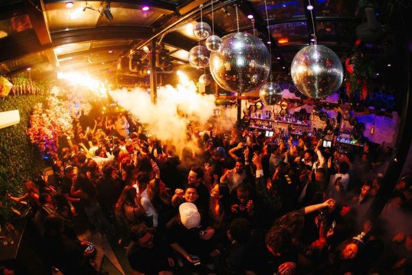 Zebbie's Garden by null