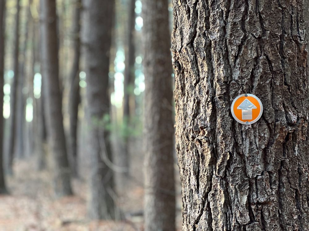 HARTWELL TOWN FOREST Updated April 2024 20 Hartwell Rd, Bedford