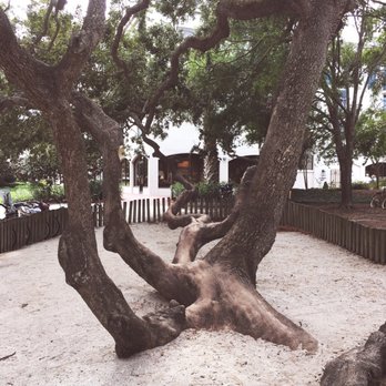 Harbour Town Playground - The awesome climbing tree - Playgrounds Near Me - Hilton Head Island, South Carolina Harbour Town Playground - The awesome climbing tree - Playgrounds Near Me - Hilton Head Island, South Carolina