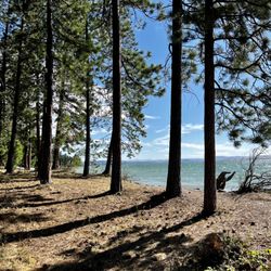 Flathead Lake