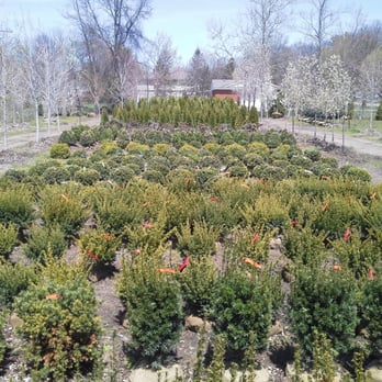 Schoedels - picture of nursery
- Nurseries & Gardening Near Me - Romulus, Michigan Schoedels - picture of nursery
- Nurseries & Gardening Near Me - Romulus, Michigan