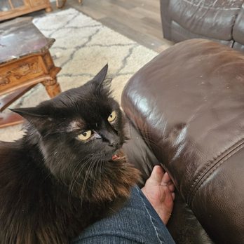 Dose's Pet Vets - They took care of my baby today. They showed love and compassion for her. Bstr vets in washoe county, God Bless you and Thank you - Veterinarians Near Me - Reno, Nevada Dose's Pet Vets - They took care of my baby today. They showed love and compassion for her. Bstr vets in washoe county, God Bless you and Thank you - Veterinarians Near Me - Reno, Nevada