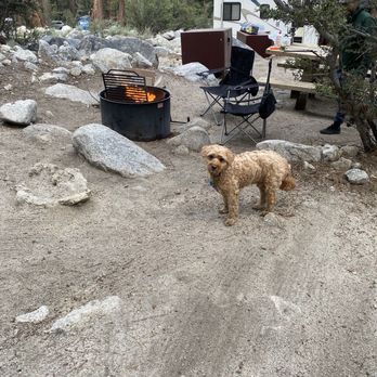 Whitney Portal Campground - Hiking Near Me - Lone Pine, California Whitney Portal Campground - Hiking Near Me - Lone Pine, California