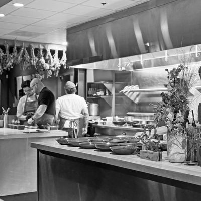 Counter- by null Counter- by null