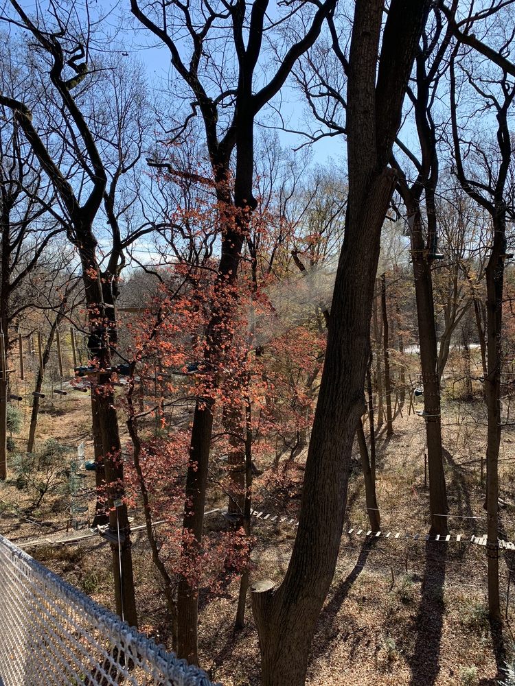 TREETOP QUEST PHILLY 39 Photos & 34 Reviews Amusement Parks 51