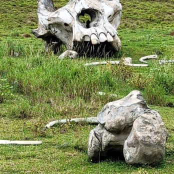 Kualoa Ranch - Movie sets - Tours Near Me - Kaneohe, Hawaii Kualoa Ranch - Movie sets - Tours Near Me - Kaneohe, Hawaii