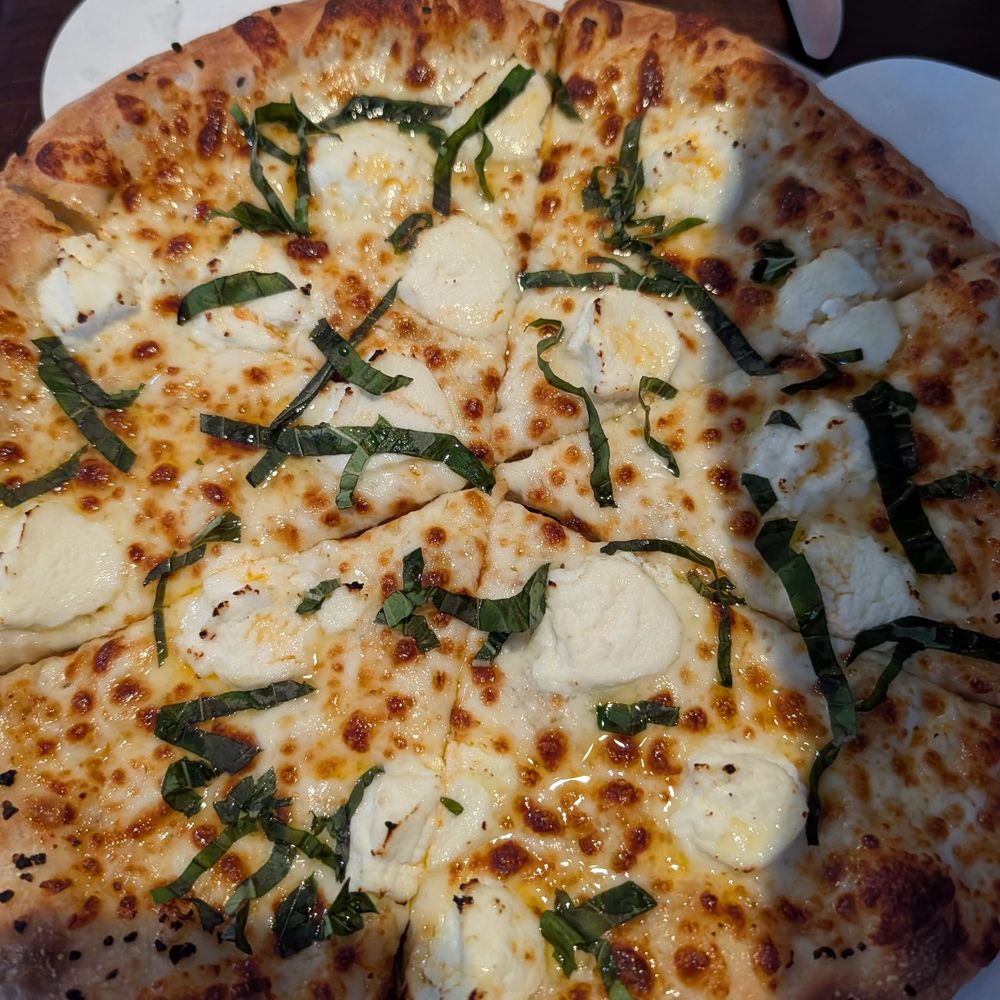 Pizza Shark Chatham - Great White Pizza: Buffalo Mozzarella, Arugula and Caribbean Oil Spicy - Pizza Near Me - Chatham, Massachusetts Pizza Shark Chatham - Great White Pizza: Buffalo Mozzarella, Arugula and Caribbean Oil Spicy - Pizza Near Me - Chatham, Massachusetts
