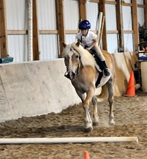 Pretty Pony Pastures - equestrian in Davisburg, MI