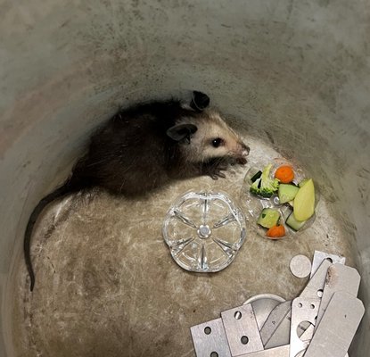 Wetlands & Wildlife Care Center by null