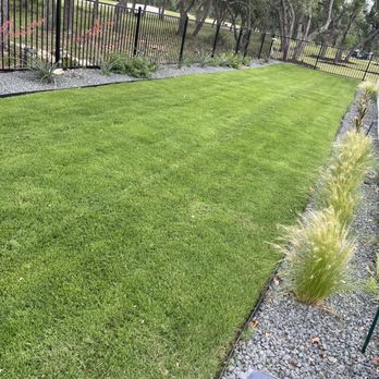 Nova Lawn Care - Installation of new sod , black metal edger , black star and plants - Lawn Services Near Me Nova Lawn Care - Installation of new sod , black metal edger , black star and plants - Lawn Services Near Me
