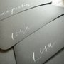 Photo of Brown Fox Calligraphy