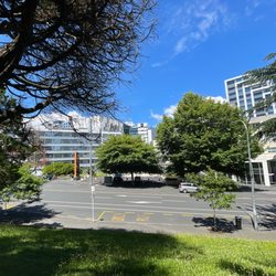 University of Auckland Library