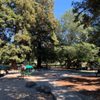 Pleasant Hill Park gift card