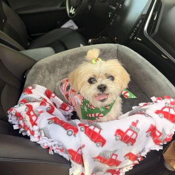 Cupid Doggie Spa - Gias new hand made blanket from Cupid doggie spa! - Pet Groomers Near Me - La Habra, California Cupid Doggie Spa - Gias new hand made blanket from Cupid doggie spa! - Pet Groomers Near Me - La Habra, California