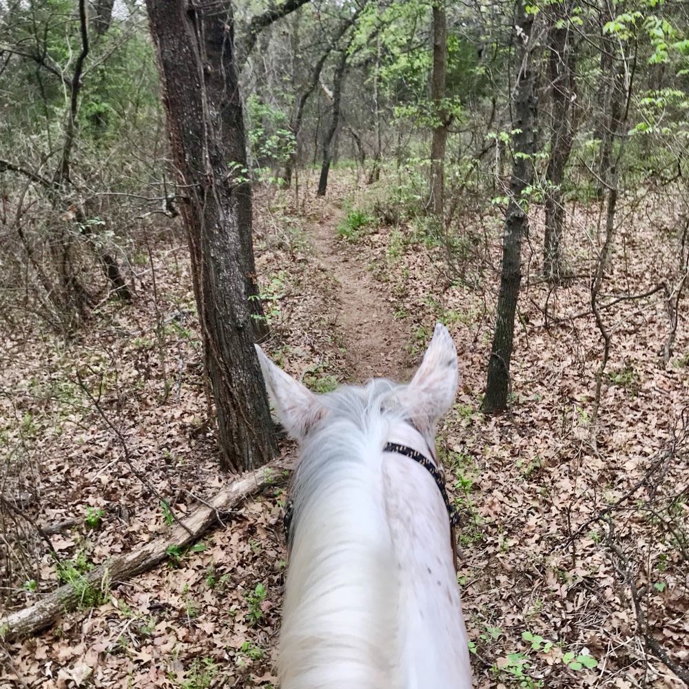 Widowmaker Trail Rides - Horseback Riding Near Me - Southlake, Texas Widowmaker Trail Rides - Horseback Riding Near Me - Southlake, Texas