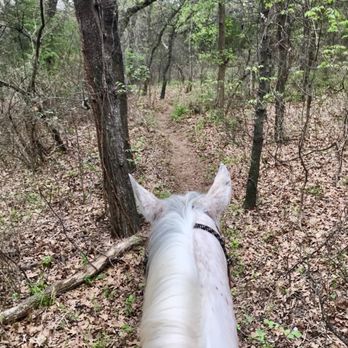 Widowmaker Trail Rides - Horseback Riding Near Me - Southlake, Texas