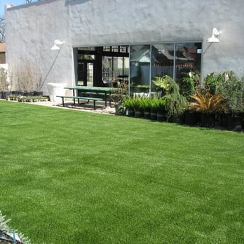 Texas Custom Turf - Big Red Sun - Artificial Turf Near Me - Bertram, Texas