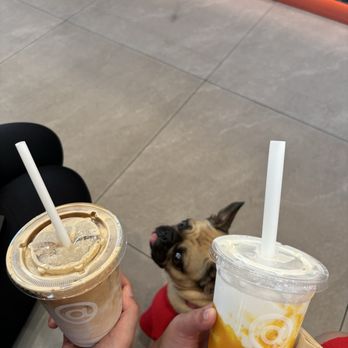 Cotti Coffee - coco cotti mango slush - Coffee & Tea Near Me - San Gabriel, California Cotti Coffee - coco cotti mango slush - Coffee & Tea Near Me - San Gabriel, California