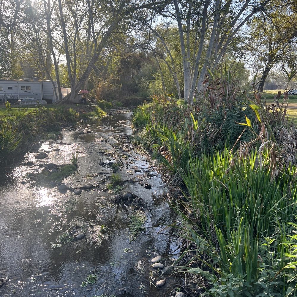 Riverbend RV Park - RV Parks Near Me - Sanger, California Riverbend RV Park - RV Parks Near Me - Sanger, California