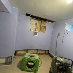 FDP Mold Remediation of DC