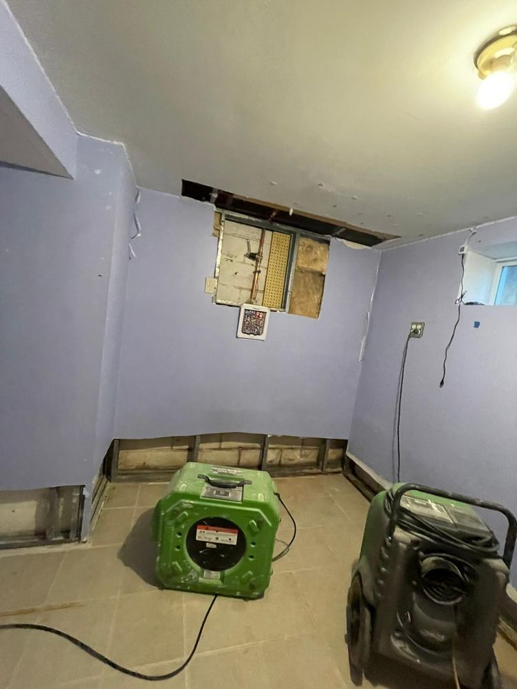 FDP Mold Remediation of DC - mold inspector in Washington, DC, DC