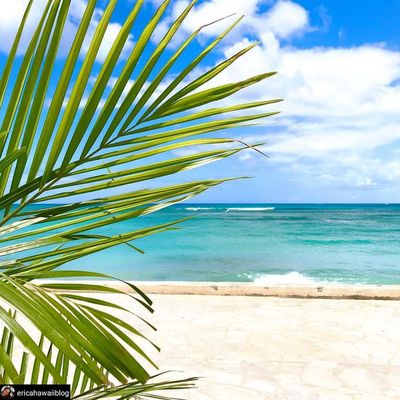 Barefoot Beach Cafe @ Queen's Surf Beach by null