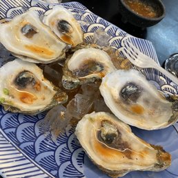 Empty oysters Empty oysters