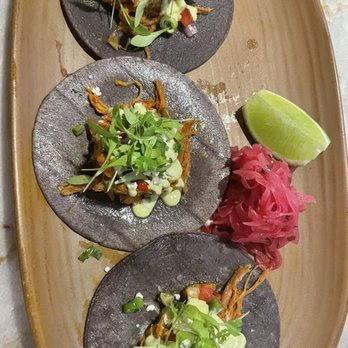 Lolita's Coastal Cocina - Beef Tinga tacos - Breakfast & Brunch Near Me - Key West, Florida Lolita's Coastal Cocina - Beef Tinga tacos - Breakfast & Brunch Near Me - Key West, Florida