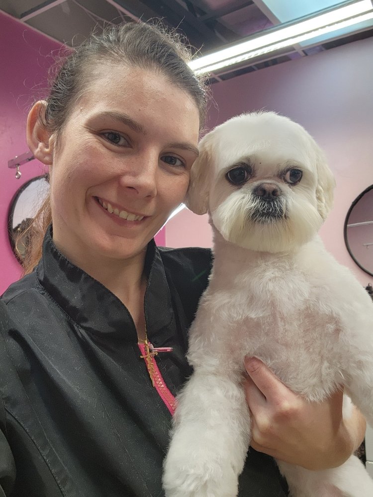 DOG MOBILE GROOMING 24 Photos Lehigh Acres, Florida Yelp