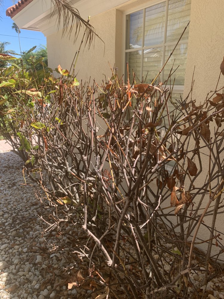 Slide of BAY TO BAY EXTERIOR CLEANERS