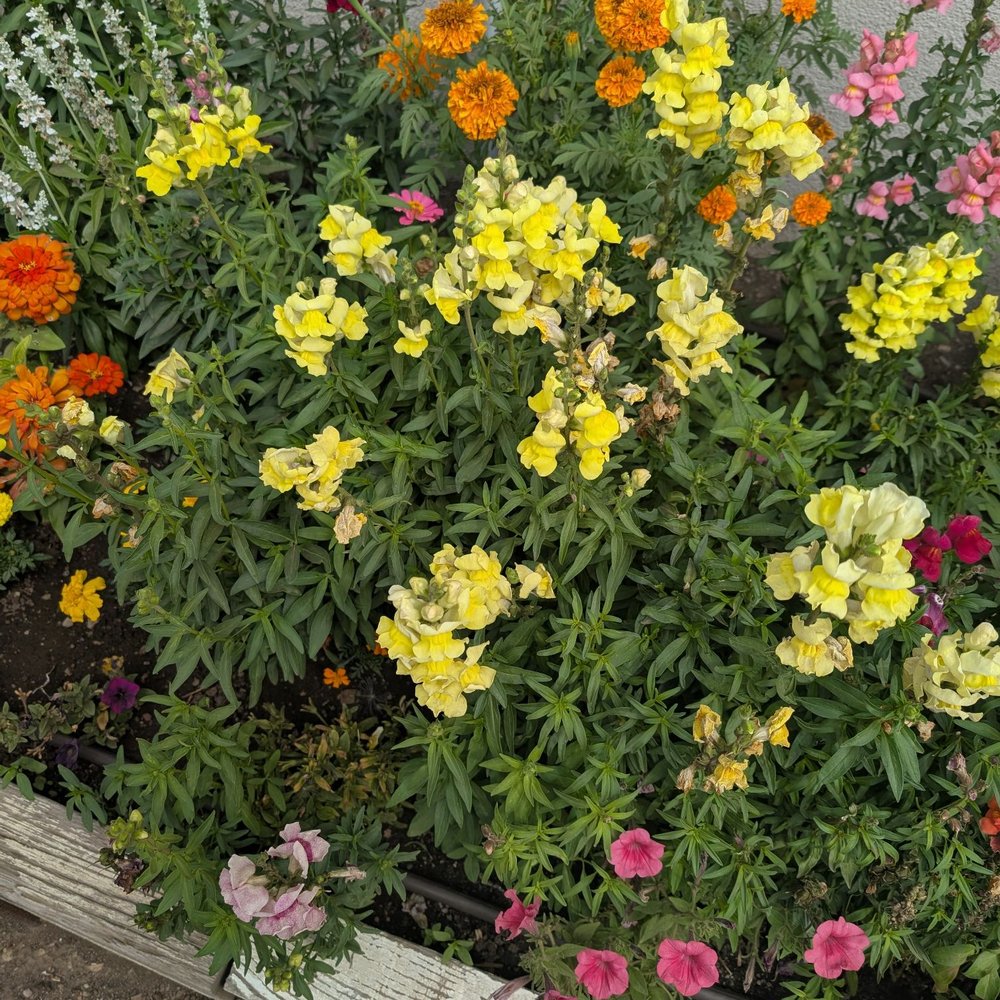 Mirror Lake Diner - Flowers - Diners Near Me - Kamas, Utah Mirror Lake Diner - Flowers - Diners Near Me - Kamas, Utah