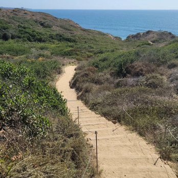 Torrey Pines State Reserve - Parks Near Me - La Jolla, California Torrey Pines State Reserve - Parks Near Me - La Jolla, California