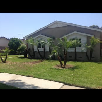 West Coast Landscaping - palm trees in front of a house - Gardeners Near Me - Santa Ana, California West Coast Landscaping - palm trees in front of a house - Gardeners Near Me - Santa Ana, California