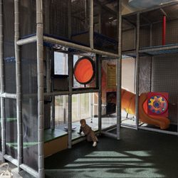 Parkland Pediatric Dental - Waiting room play area