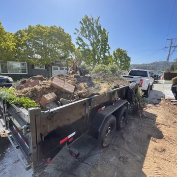 Demolition Dog - Demolition Services Near Me Demolition Dog - Demolition Services Near Me