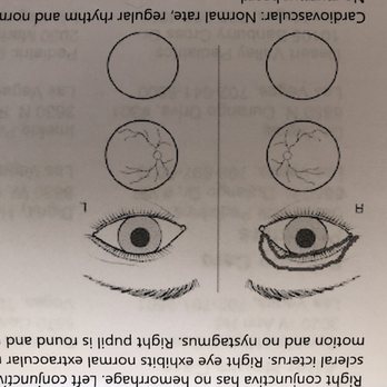 Star Body - Part of my medical paper work!! Better business n state I don't think will feel so funny!!! - Body Contouring Near Me - Las Vegas, Nevada
